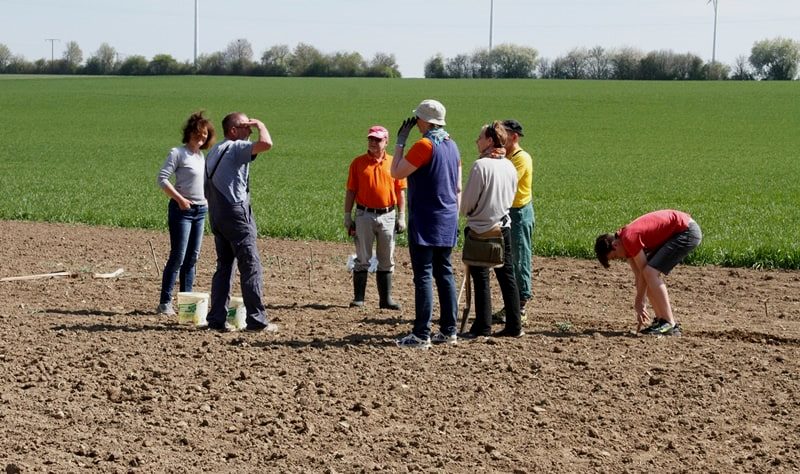 Gruppenfoto W.i.R. auf einem Acker beim Einpflanzen des Saatguts und der Setzlingen
